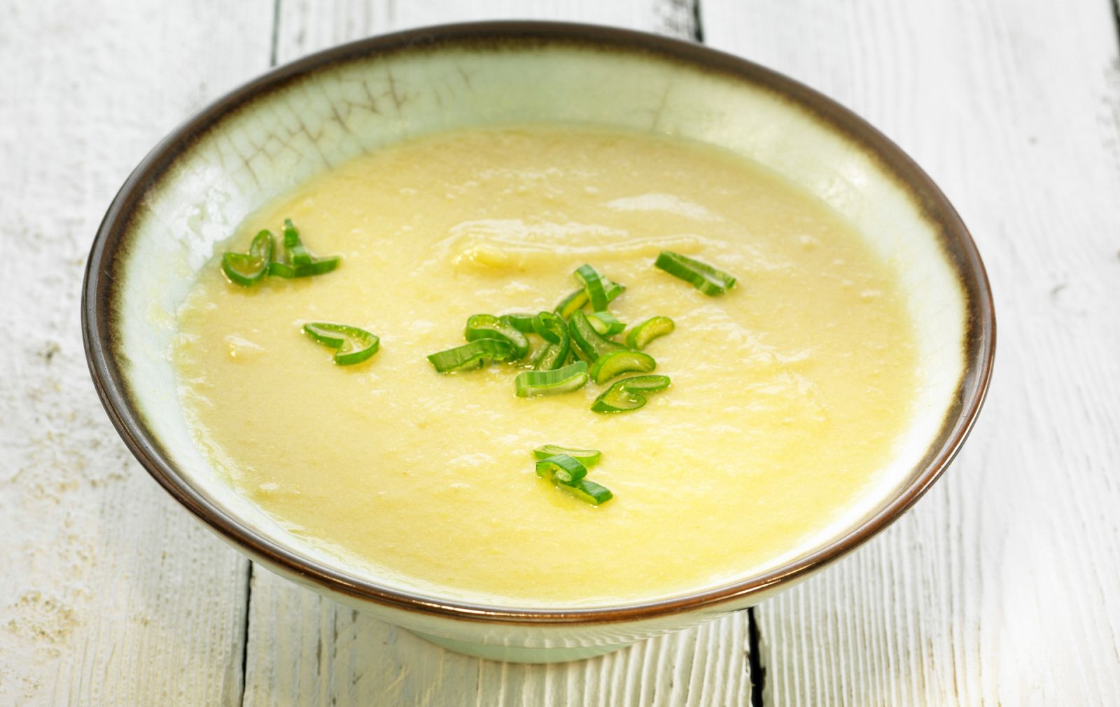 Aquí la Tierra - Crema fría de puerros con pulpo