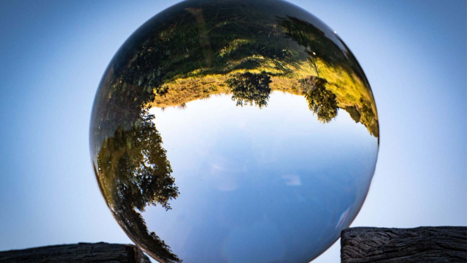 ¿Por qué estamos viviendo el período más largo de silencio humano?