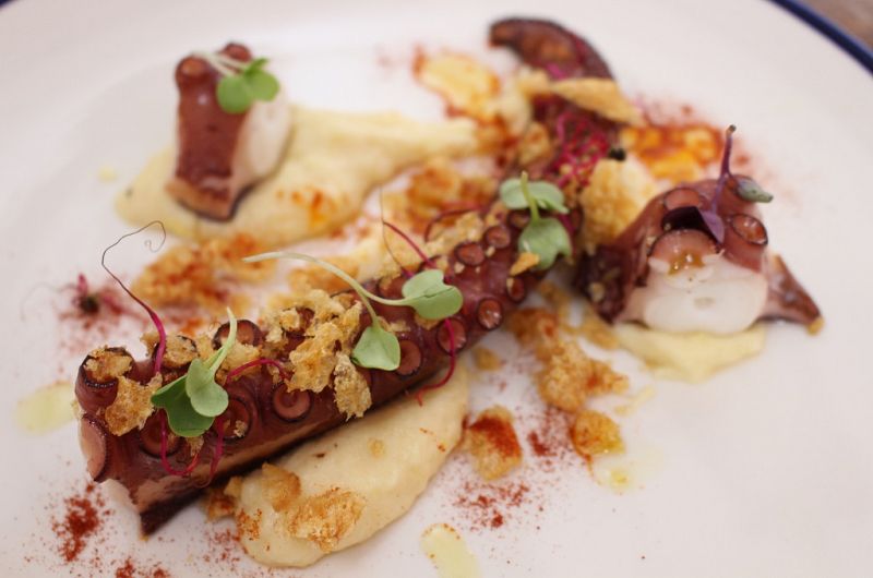 Pulpo cocido con puré de chirivía 