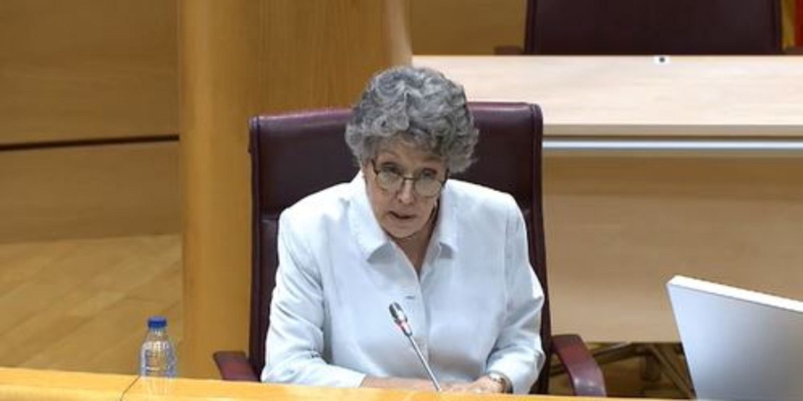 Rosa María Mateo en el Senado