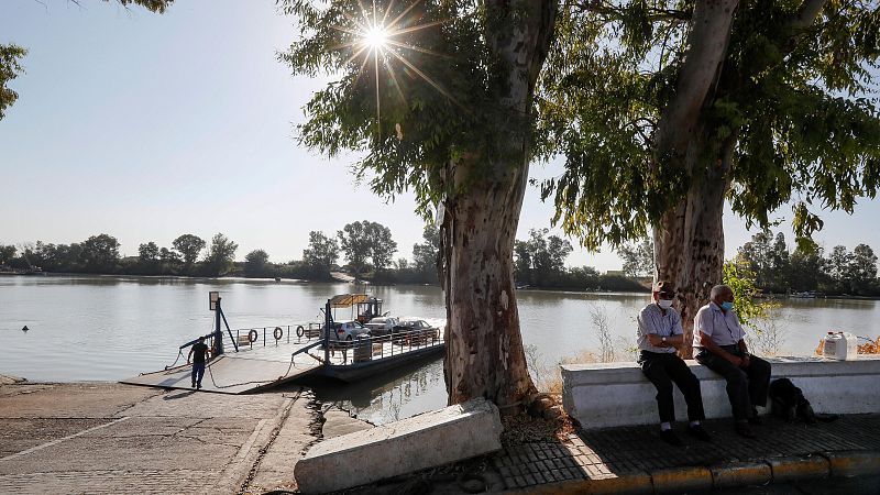 Doce de los 19 enfermos de meningoencefalitis en Sevilla dan positivo al virus del Nilo