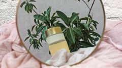 Cosmética natural: Todo lo que debes saber y beneficios para tu piel