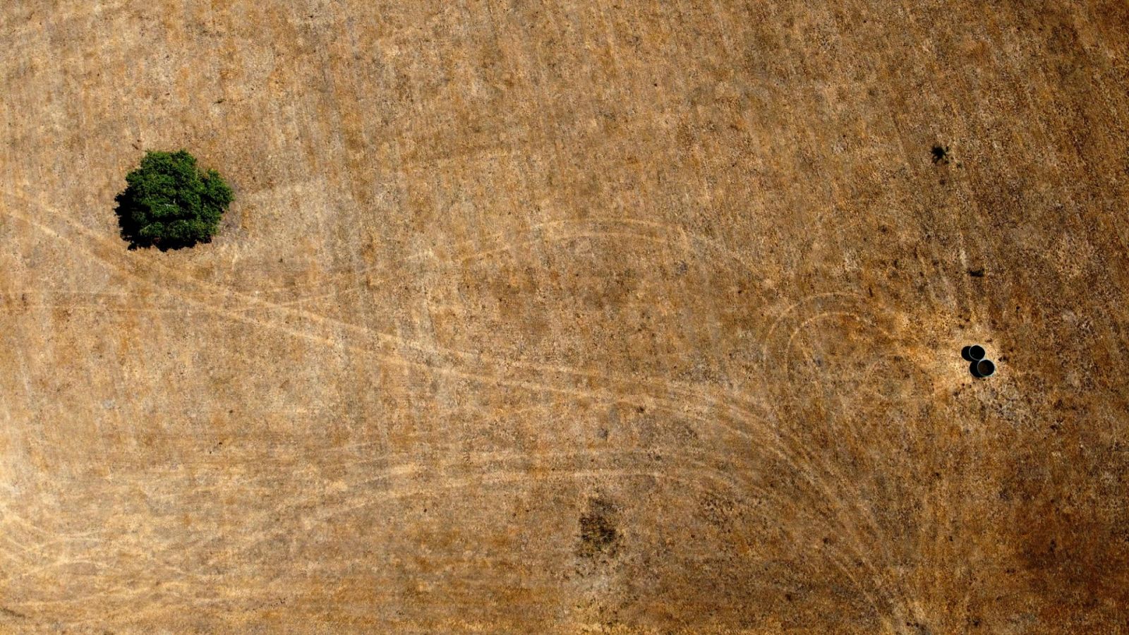 Vista aérea de abrevaderos para el ganado afectados por la sequía en el norte de Francia