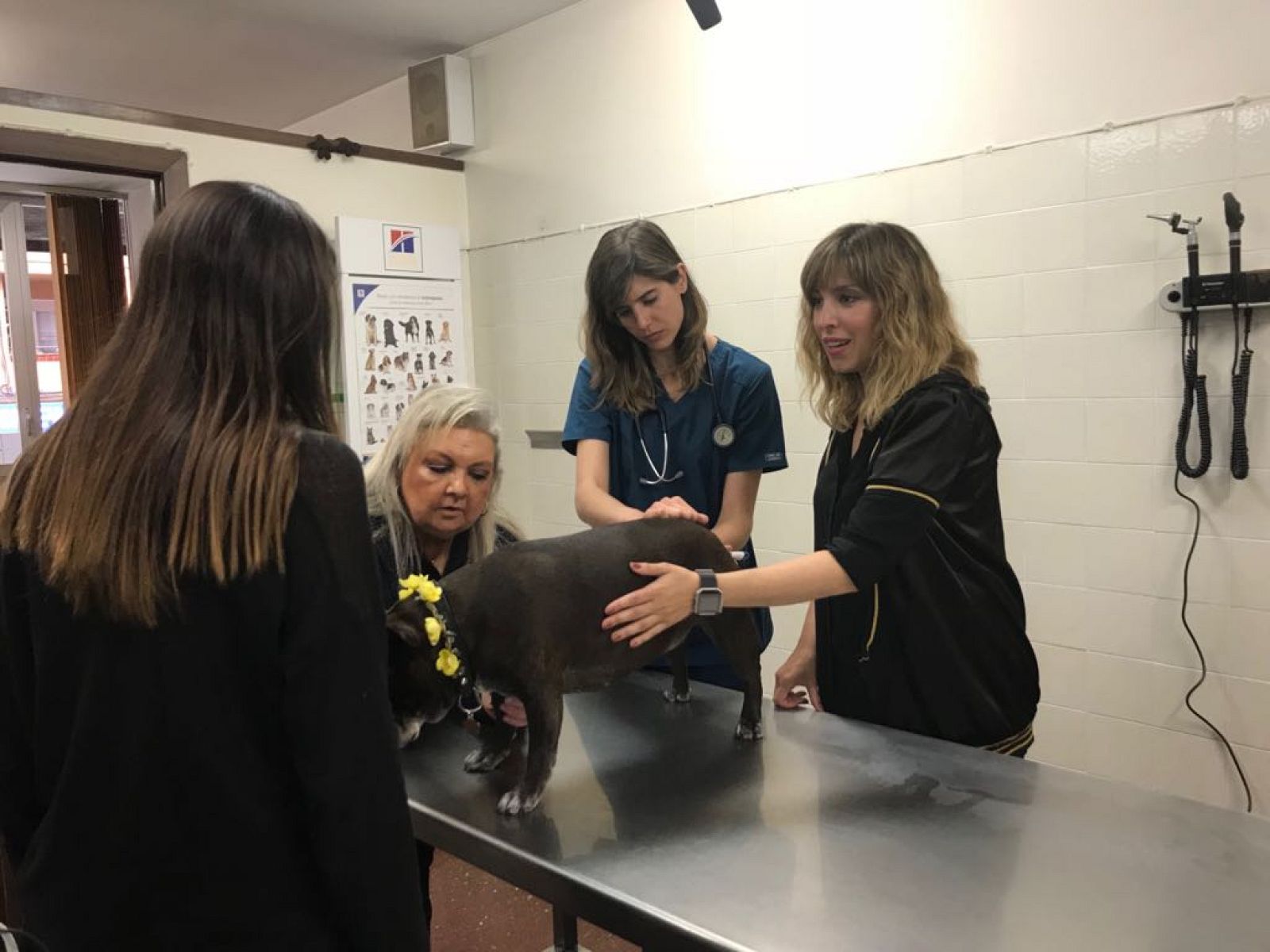 La clínica veterinària de l'Emília Sanz a 'La meva mascota i jo'