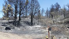 El incendio de La Palma se da por controlado y los vecinos comienzan a regresar a sus casas