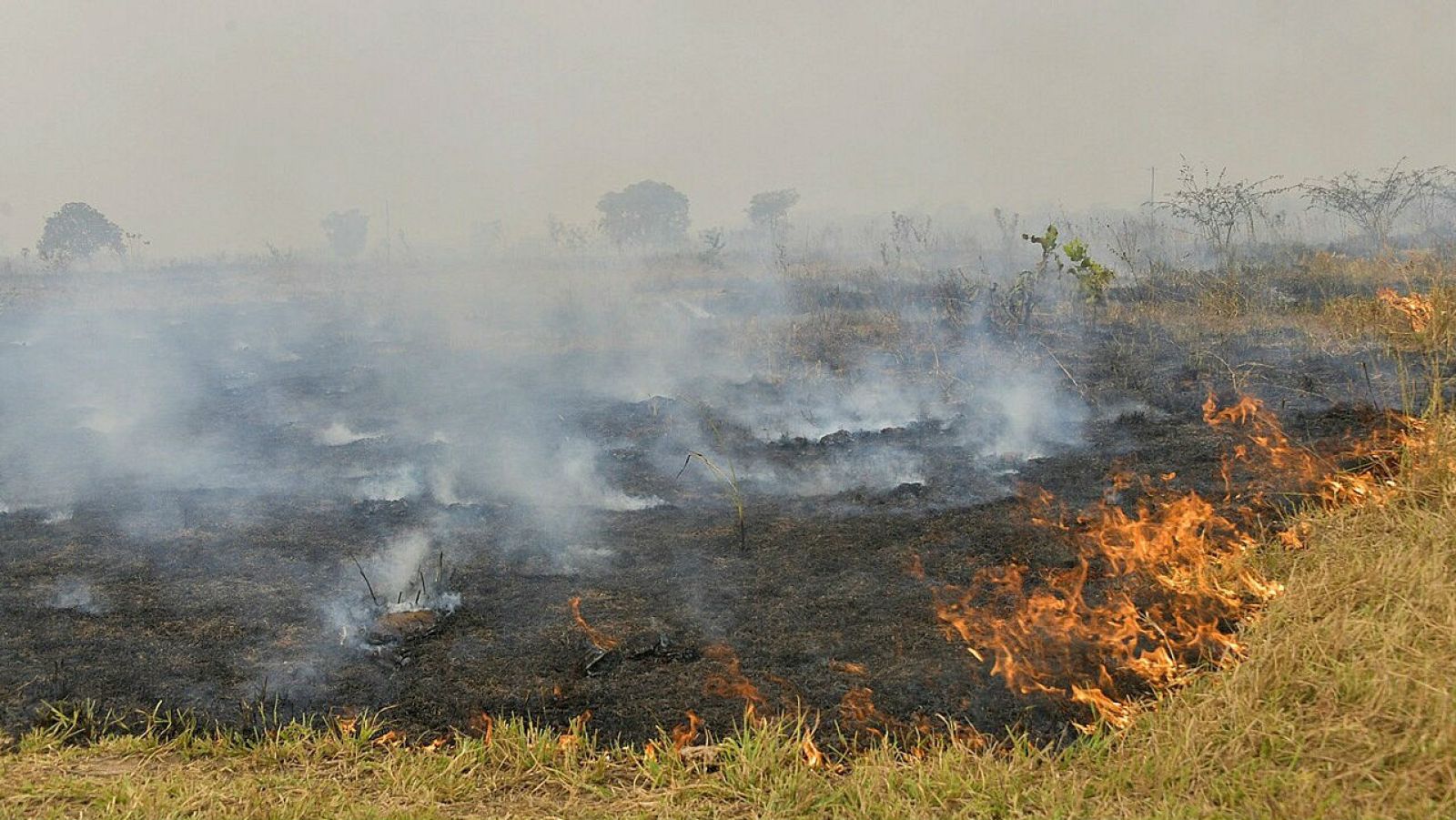 Los incendios en la Amazonía registran en agosto su segundo mayor número en 10 años