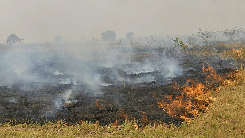 Los incendios en la Amazonía registran en agosto su segundo mayor número en 10 años