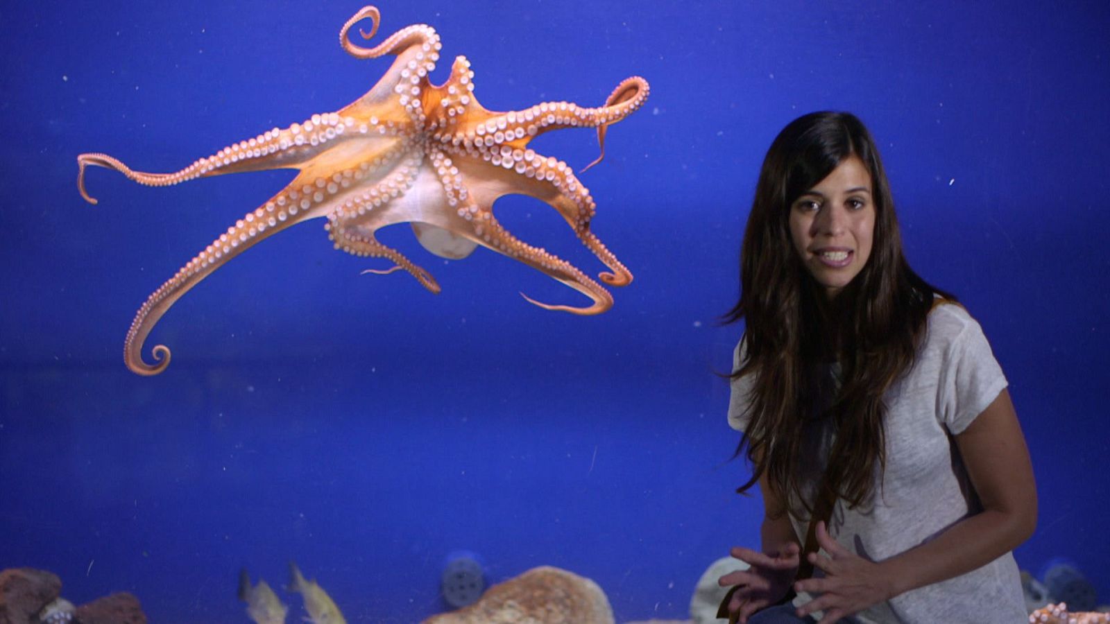 Evelyn Segura a 'Animalades'