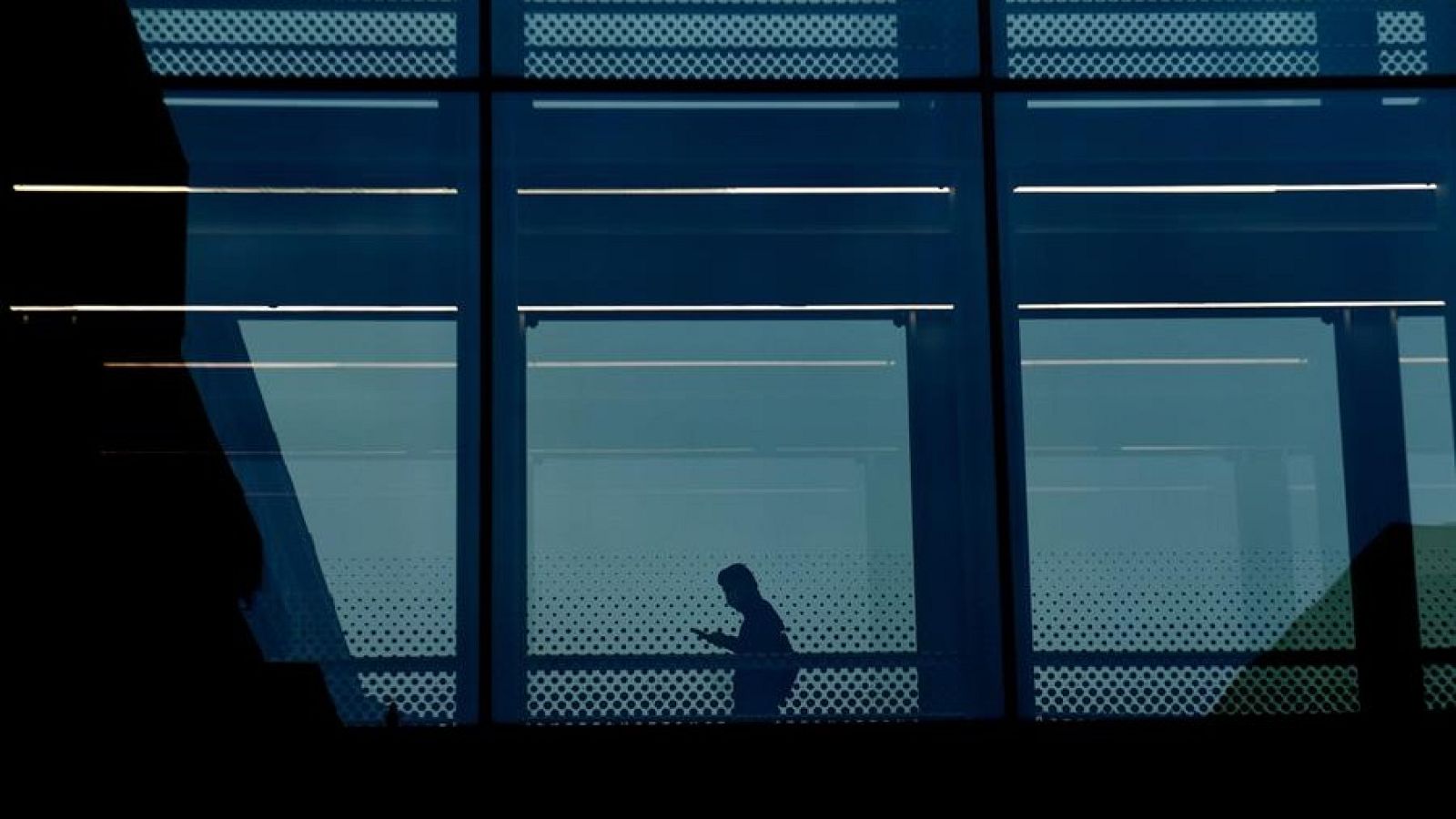 Laboratorios en Suecia y Francia confirman el envenenamiento de Navalny