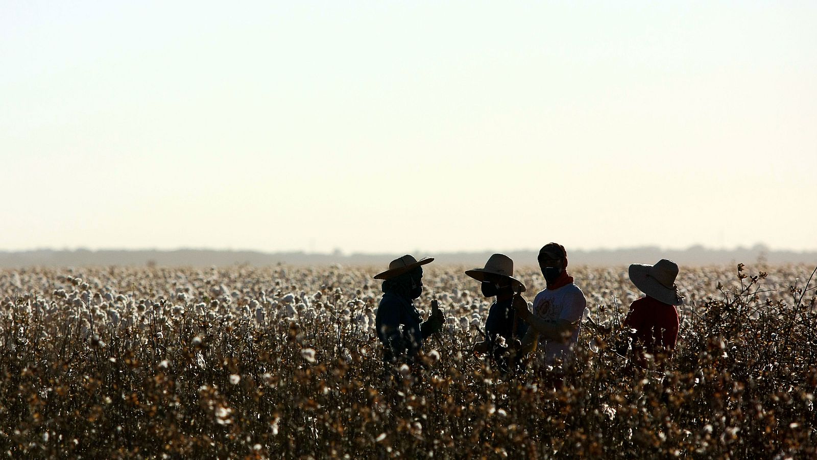 EE.UU. prohíbe algunas importaciones chinas alegando abusos de derechos humanos