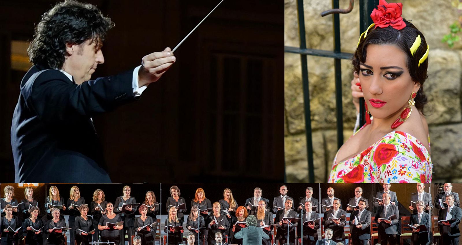 aires-de-zarzuela web