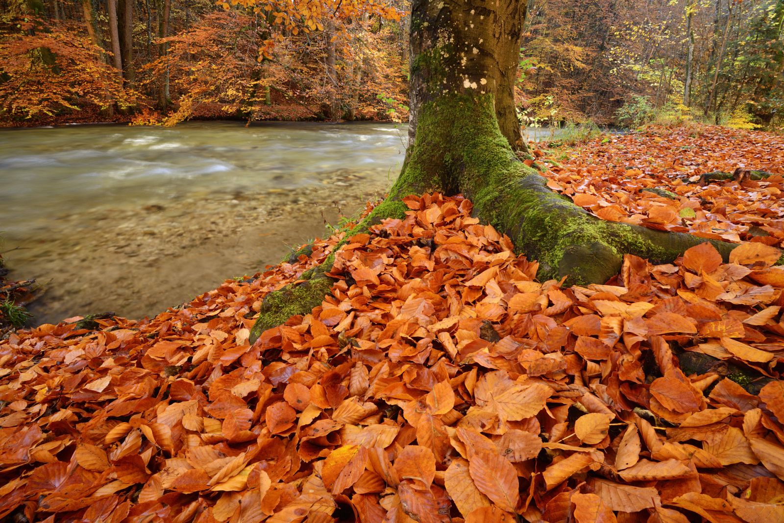 La llegada del otoño