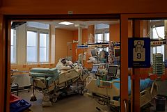 Más del 10 % de pacientes graves de COVID-19 tienen anticuerpos que empeoran la enfermedad