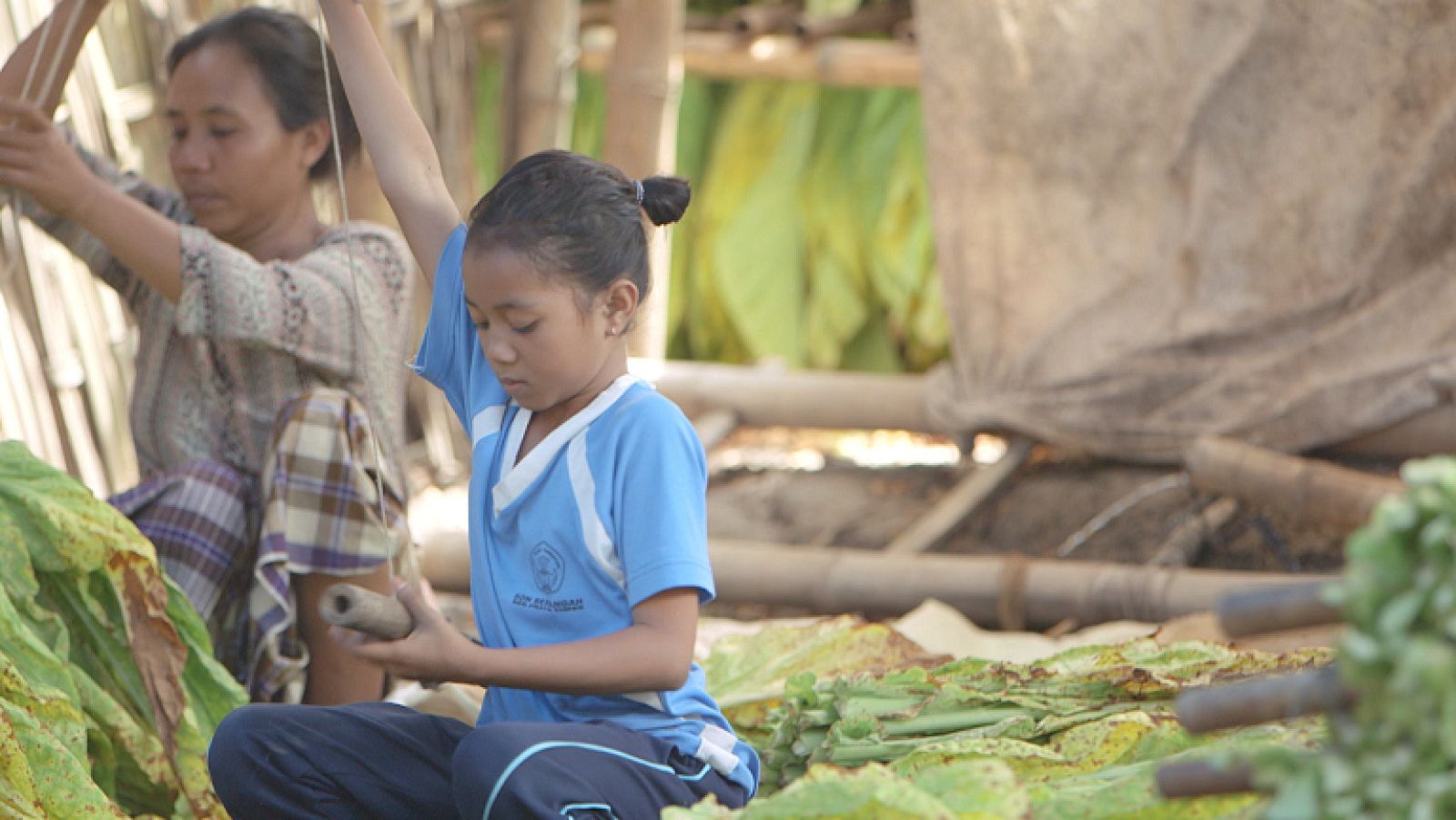 'Los niños de la nicotina'