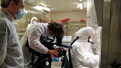 Virus: Amenaza permanente