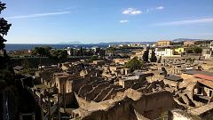 Descubren neuronas perfectamente conservadas en una víctima de Pompeya 2.000 años después de la erupción