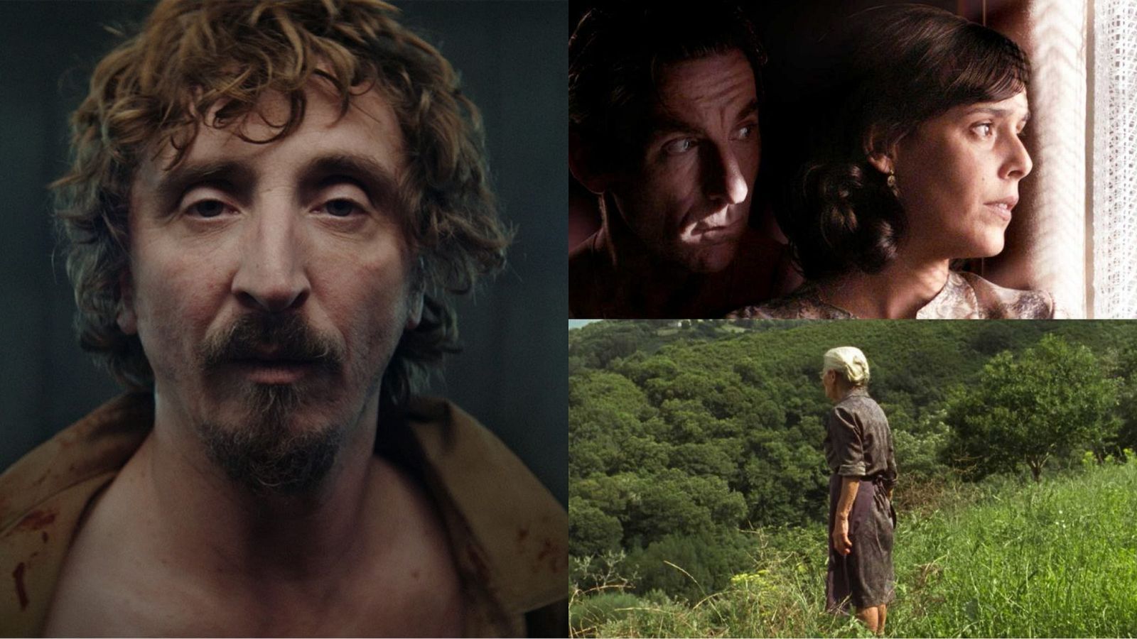 collage-preseleccin-oscars