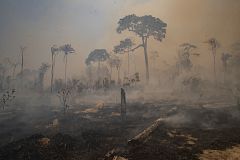 ¿Cómo afecta el cambio climático a los desastres naturales?