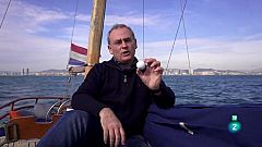 ¿La piel del tiburón mejoraría la velocidad de las embarcaciones?