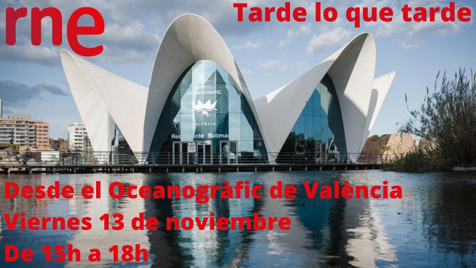 'Tarde lo que tarde' emite una edición especial desde el Oceanográfico de Valencia