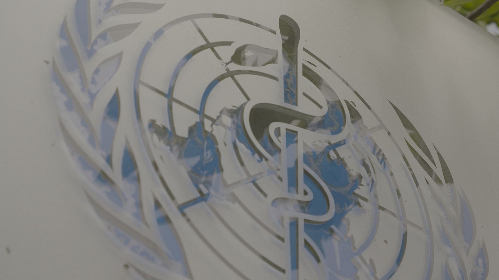 'La OMS en la encrucijada'