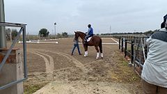 Félix Gómez campeón nacional de Doma Adaptada