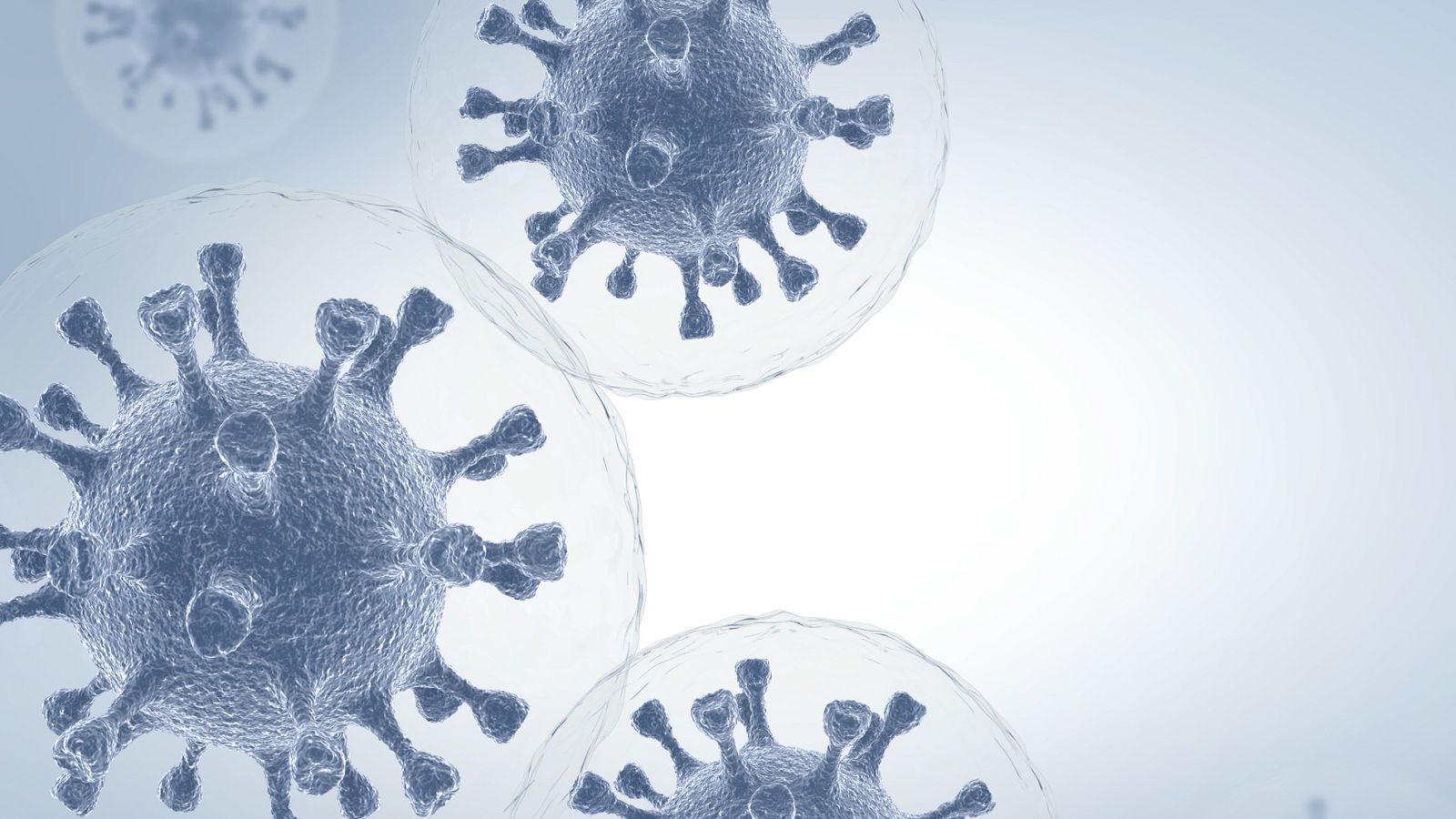 Células de coronavirus