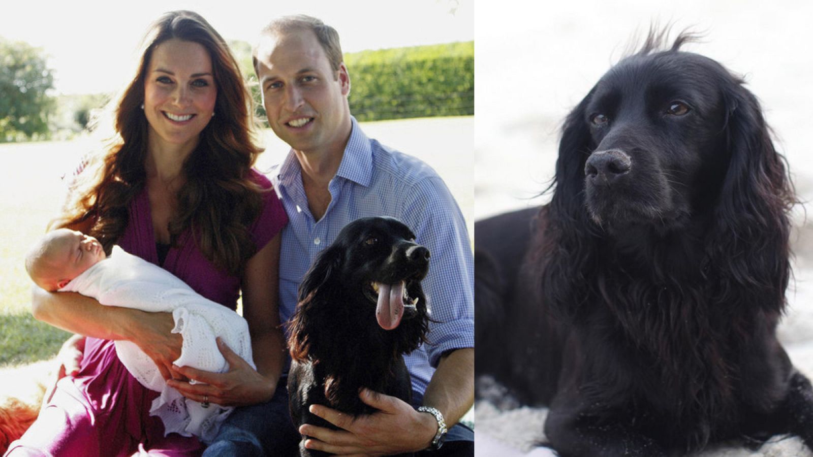 Guillermo y Kate con Lupo