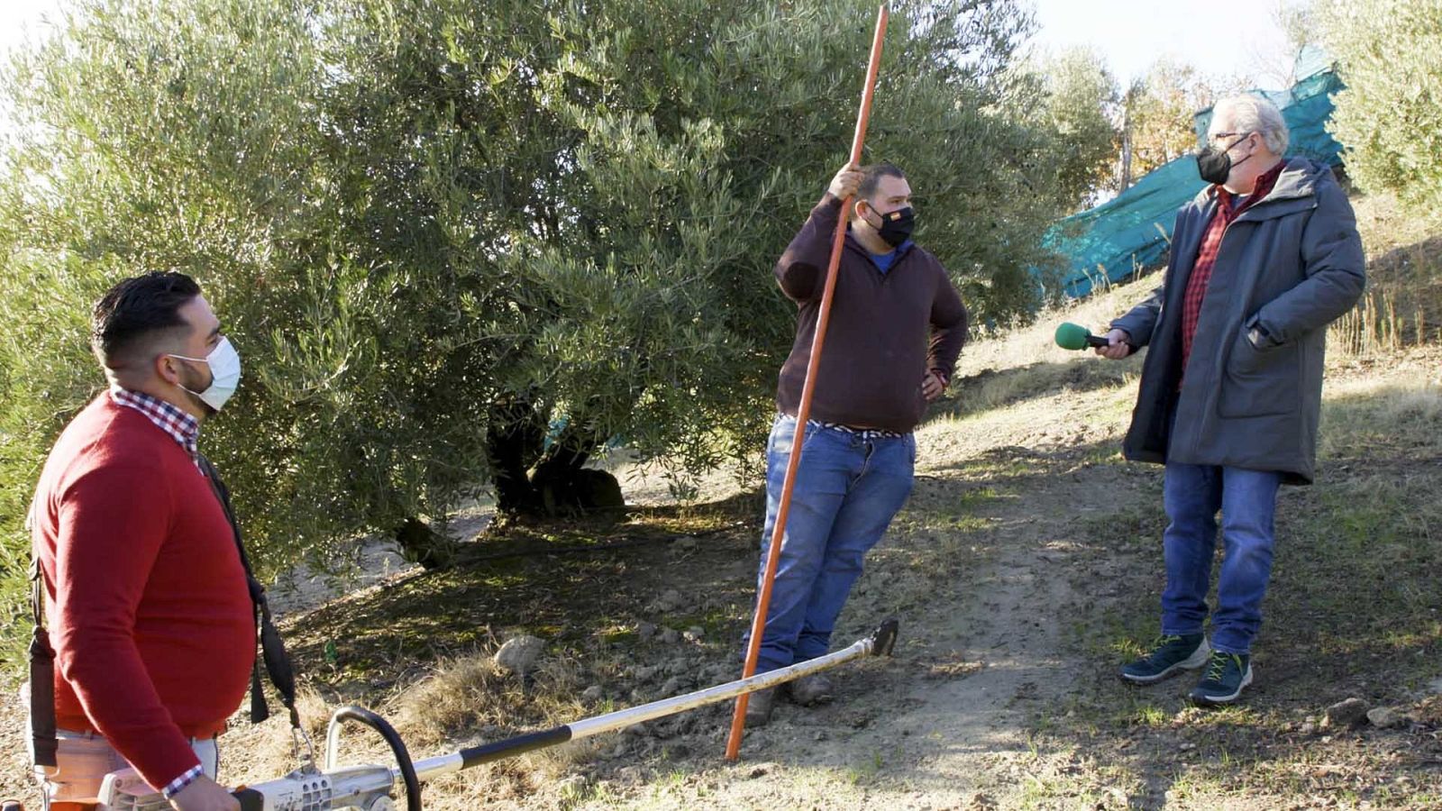 Leo Harlem con vareadores