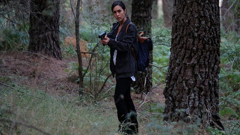 �C�mo acab� 'La caza. Monteperdido'?