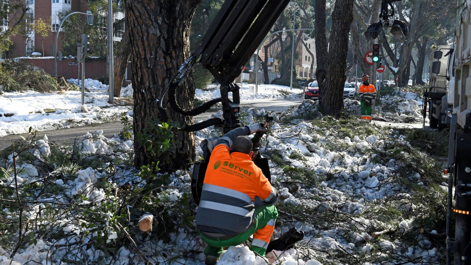 Varios operarios podan una de las ramas vencidas por la nieve caída por el paso de la tormenta Filomena, en Madrid