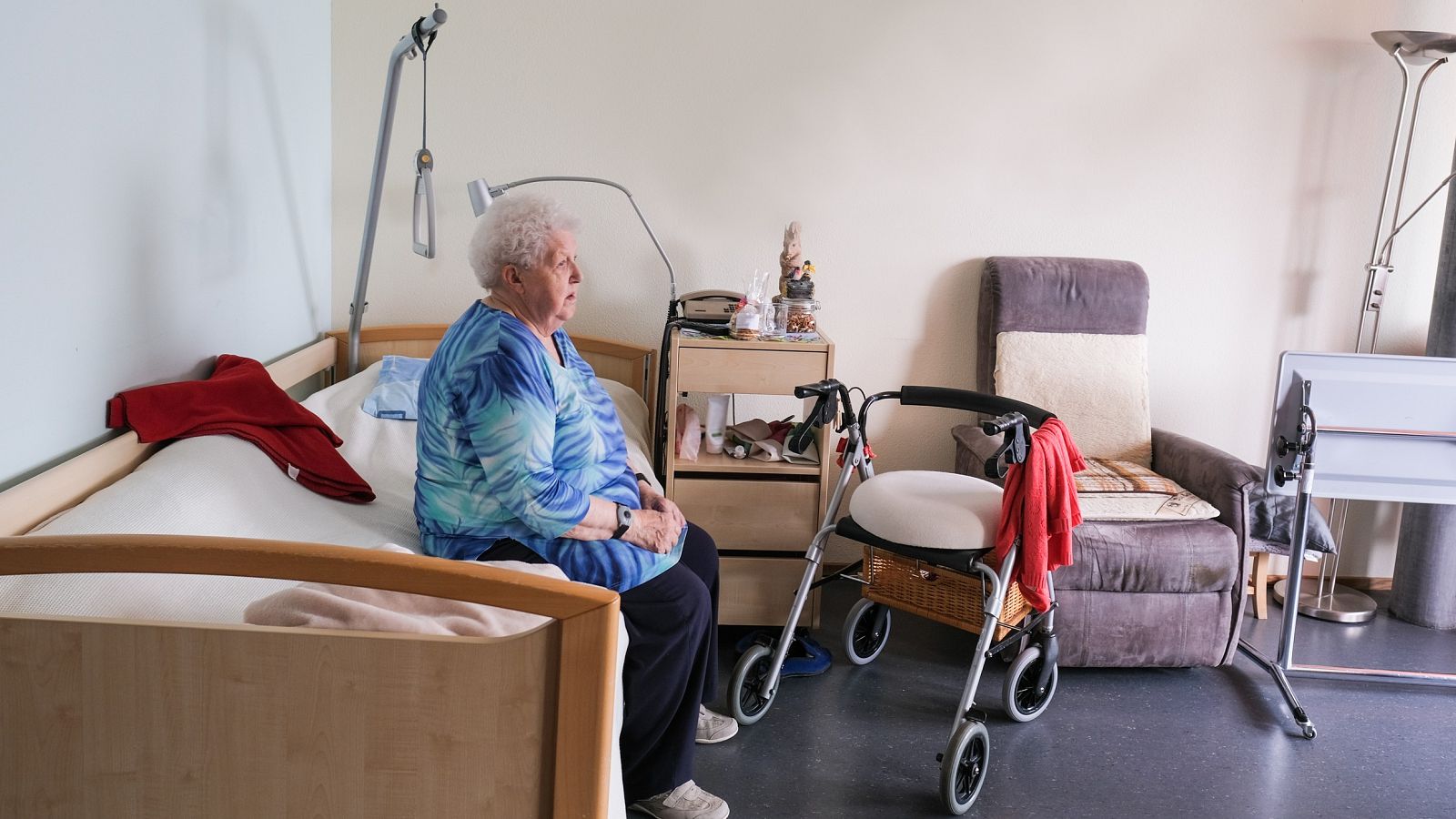 Plan de choque de la dependencia