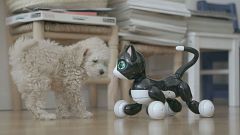 ¿Podemos confiar en coches inteligentes, armas autónomas, robots asistenciales o chips cerebrales?