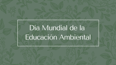 Día Mundial de la Educación Ambiental: ¿qué podemos aprender?