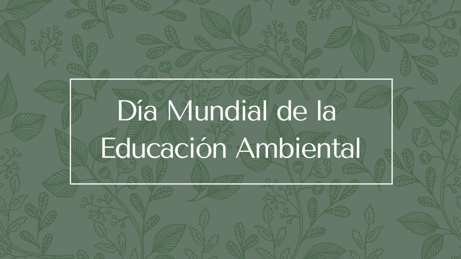 Educación ambiental: fundamental para nuestro planeta