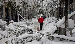 Enero, el mes en el que la oscilación térmica alcanzó los 55º: "La situación es de emergencia climática absoluta"