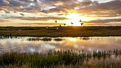 Día Mundial de los Humedales: un ecosistema subestimado