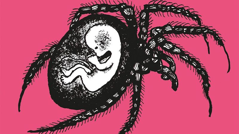 Baudoin y Cartarescu, dos genios unidos por la adaptación al cómic de 'Lulú'