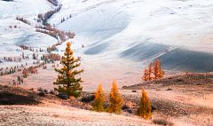 ¿Qué otras tonalidades puede adquirir la nieve?