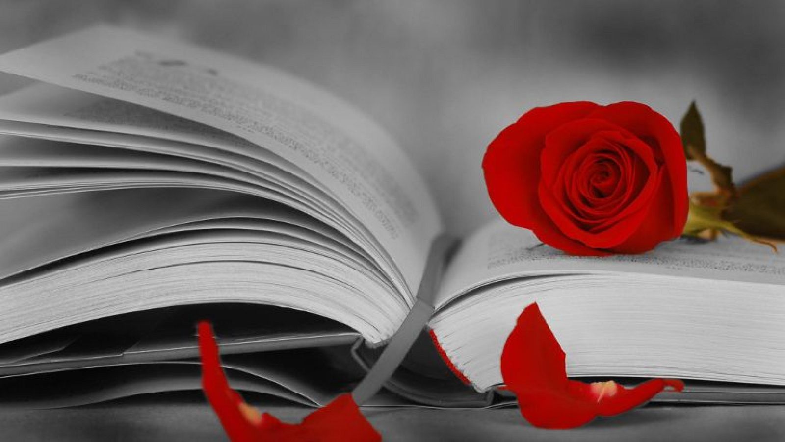 L'Ajuntament negocia per una festa del llibre i la rosa presencial