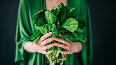 D�a Internacional de la Espinaca: Nos vamos al mercado en busca de espinacas