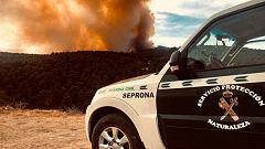 El Seprona, guardianes del medioambiente