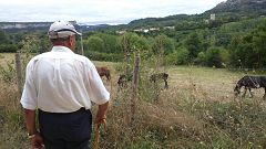 Emprendimiento rural y pandemia: un doble salto al vacío