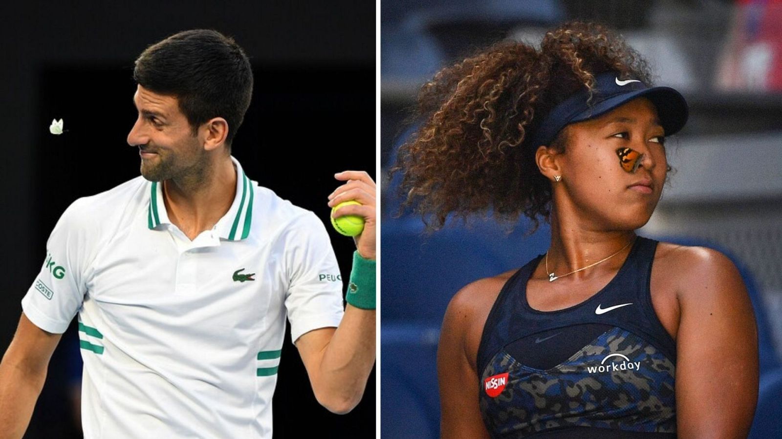 Djokovic y Osaka, "bendecidos" por una mariposa en uno de los momentos más curiosos del torneo
