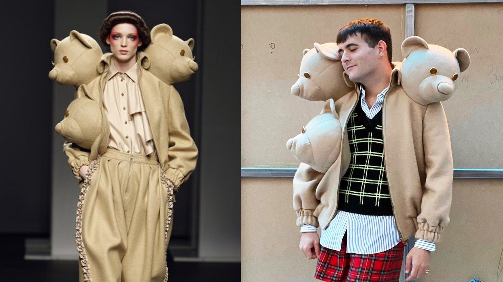 Palomo con la chaqueta de ositos de Manuel Bolaño