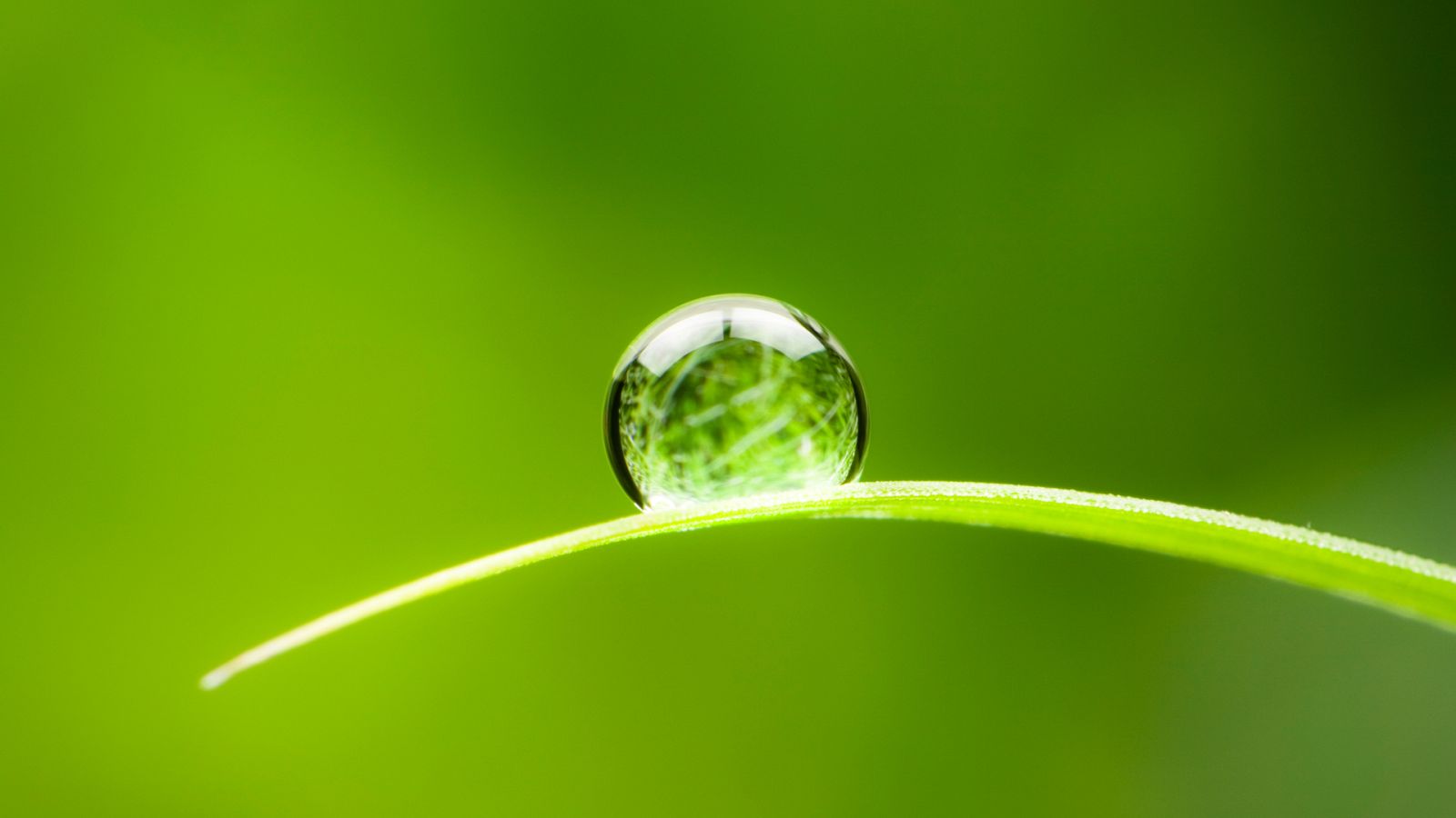 ¿Qué forma tienen las gotas?