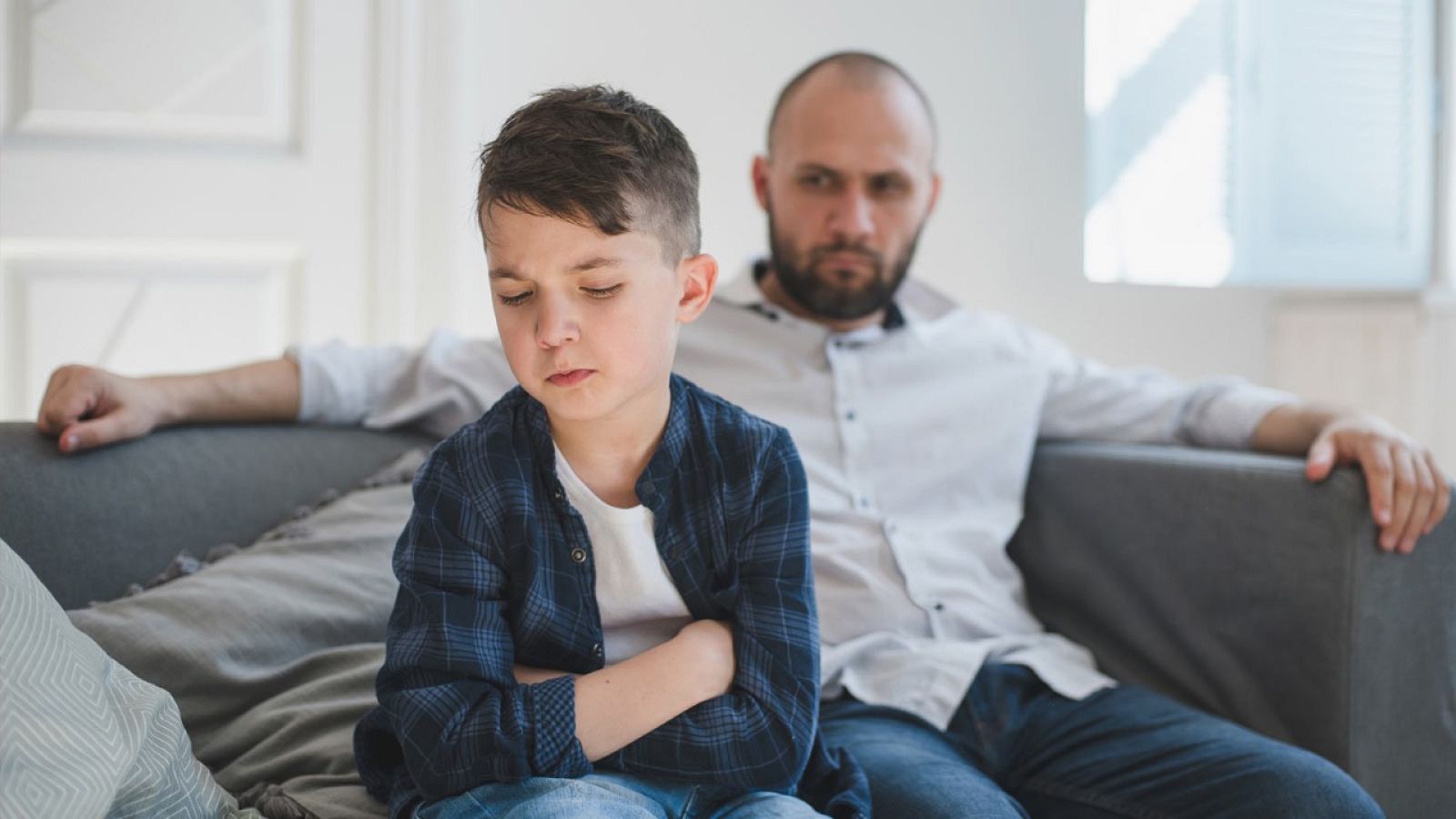 Alienacio parental ok