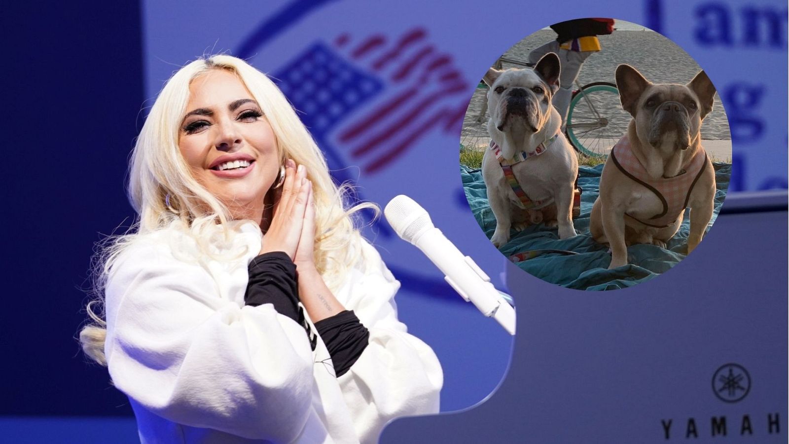 Lady Gaga recupera a los dos perros que le habían robado