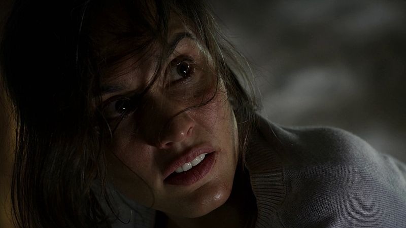 Descubre a los responsables de Can Falgueres