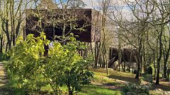 Turismo en cabañas ecológicas entre las ramas de los árboles